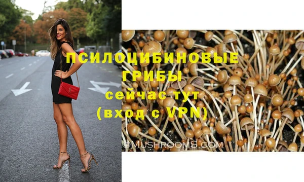 дмт Богданович