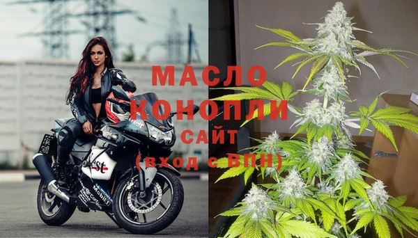 дмт Богданович
