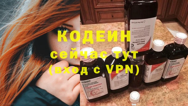 прущие грибы Сосновый Бор