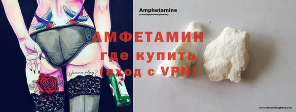 дмт Богданович