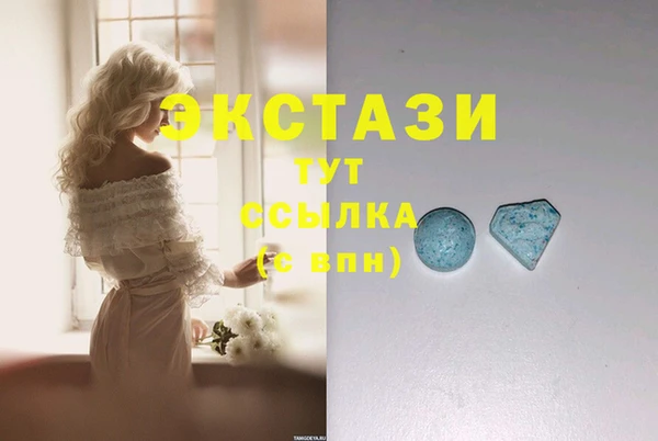 дмт Богданович