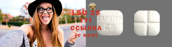 гашик Богородицк