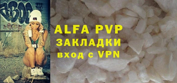 дмт Богданович