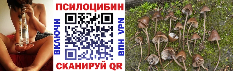 Галлюциногенные грибы Psilocybe  Наро-Фоминск 